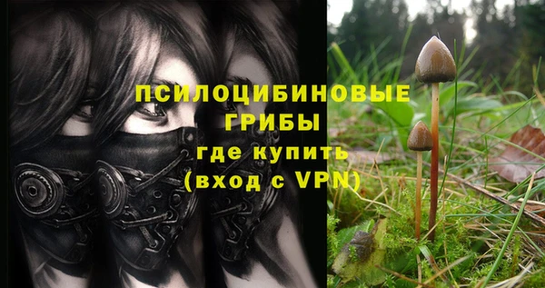 a pvp Горно-Алтайск