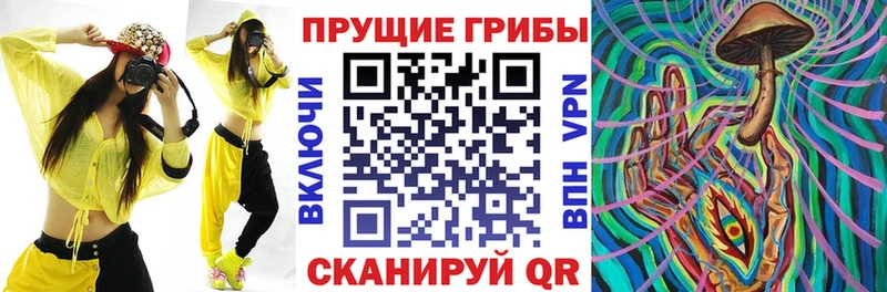 Галлюциногенные грибы Cubensis Купить где Бутурлиновка